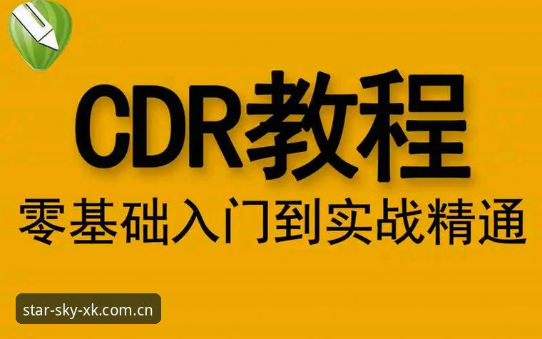 星空体育用户评价操作教程：从注册到实战的完整解析